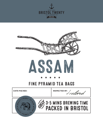 Bristol Twenty Assam