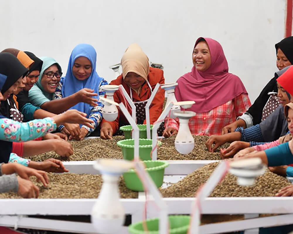 female coffee farmers