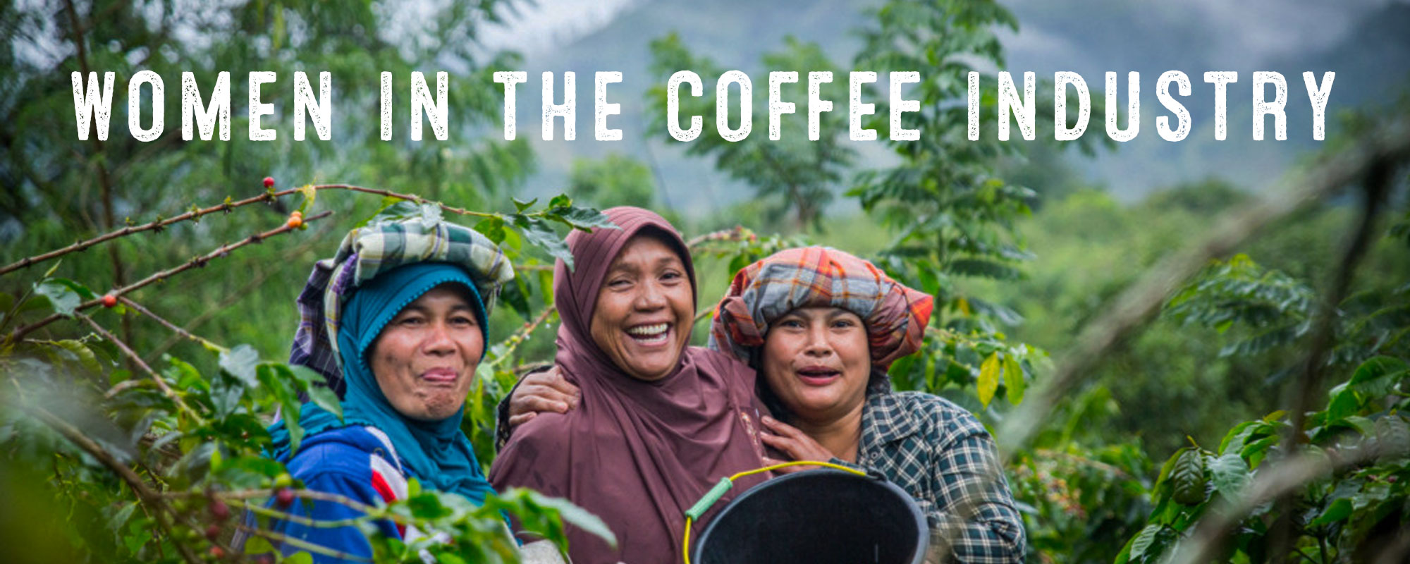 female coffee farmers